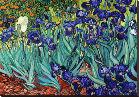 Irises, Saint - Remy - Vincent Van Gogh Paintings